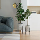  Domon Collection Home Decor Planters 178753 IMAGE 1