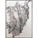  Domon Collection Home Decor Wall Art 178770 IMAGE 1