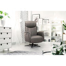 Domon Collection Recliners Power Motorized recliner 8003 IMAGE 3