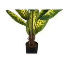  Monarch I 9535 47"H - Indoor Evergreen In A 5" Pot IMAGE 3