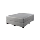 Domon Collection Hybride 39 XL IMAGE 1