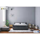 Domon Collection 178658 - Leana 78 IMAGE 1