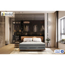 Domon Collection 178906 - Optimum 78 IMAGE 1